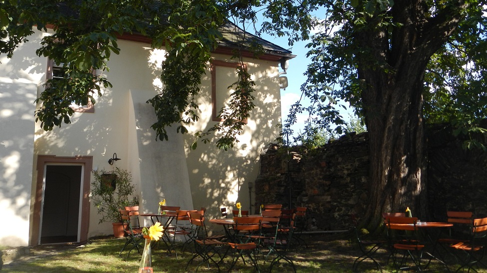 Im historischen Hof des Weinguts Graf von Kanitz wird unter der alten Kastanie ausgeschenkt.